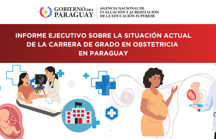 Informe sobre la situación actual de la carrera de grado en obstetricia en paraguay